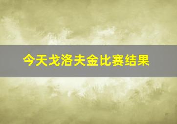 今天戈洛夫金比赛结果