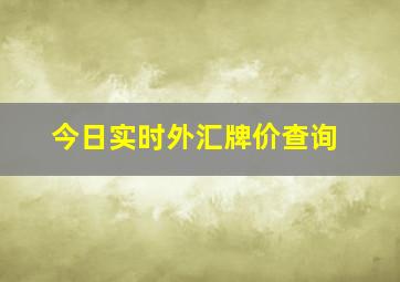 今日实时外汇牌价查询