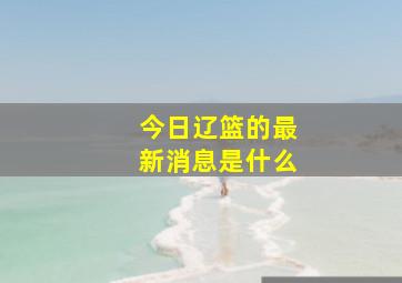 今日辽篮的最新消息是什么