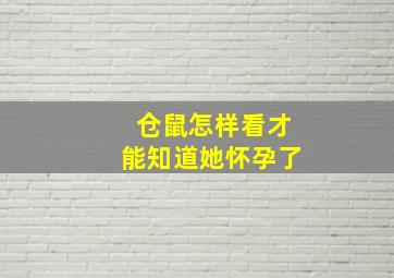 仓鼠怎样看才能知道她怀孕了