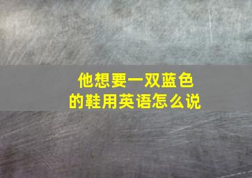 他想要一双蓝色的鞋用英语怎么说