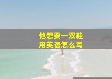 他想要一双鞋用英语怎么写