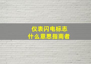 仪表闪电标志什么意思指南者