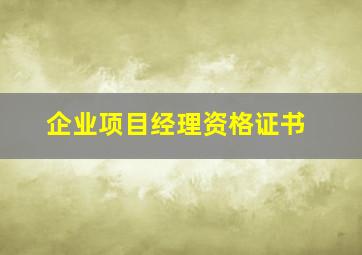 企业项目经理资格证书