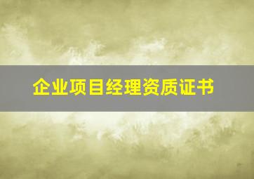 企业项目经理资质证书