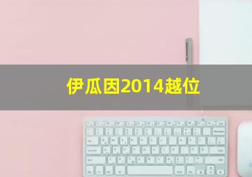 伊瓜因2014越位