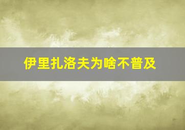 伊里扎洛夫为啥不普及