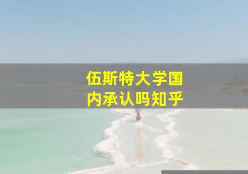 伍斯特大学国内承认吗知乎