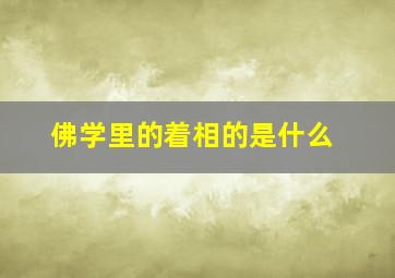 佛学里的着相的是什么