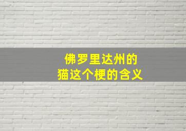 佛罗里达州的猫这个梗的含义