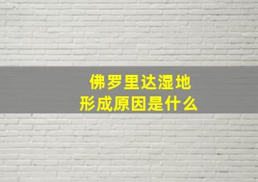 佛罗里达湿地形成原因是什么