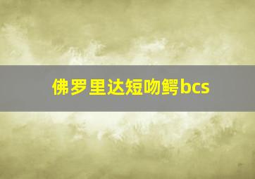 佛罗里达短吻鳄bcs