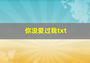 你没爱过我txt