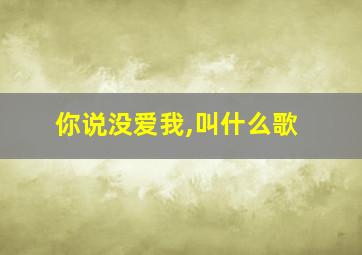 你说没爱我,叫什么歌