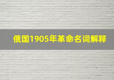 俄国1905年革命名词解释