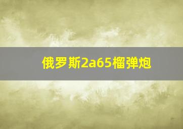 俄罗斯2a65榴弹炮