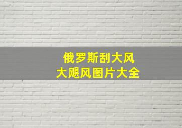 俄罗斯刮大风大飓风图片大全