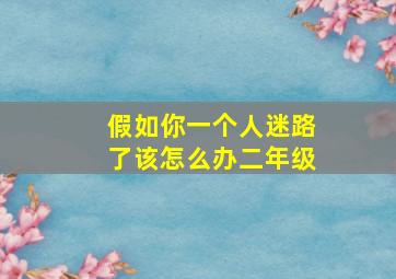 假如你一个人迷路了该怎么办二年级