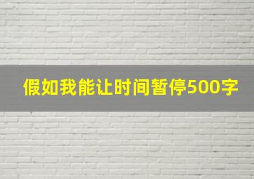 假如我能让时间暂停500字