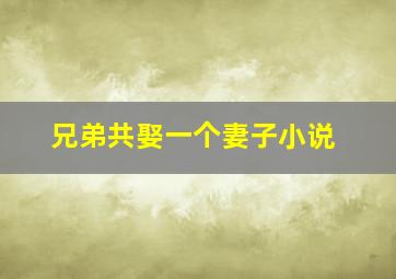 兄弟共娶一个妻子小说