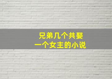 兄弟几个共娶一个女主的小说