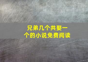 兄弟几个共娶一个的小说免费阅读