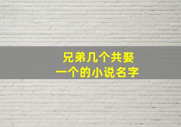 兄弟几个共娶一个的小说名字