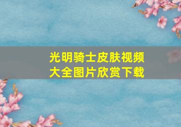 光明骑士皮肤视频大全图片欣赏下载