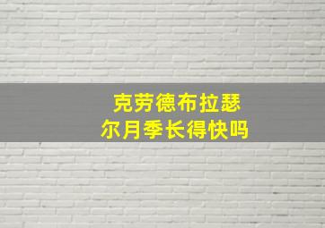 克劳德布拉瑟尔月季长得快吗