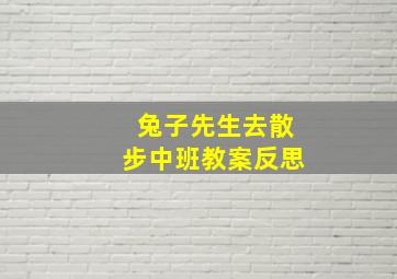 兔子先生去散步中班教案反思