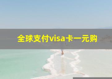 全球支付visa卡一元购