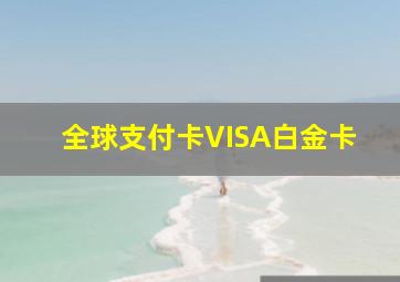 全球支付卡VISA白金卡