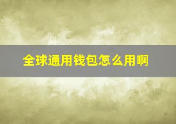 全球通用钱包怎么用啊