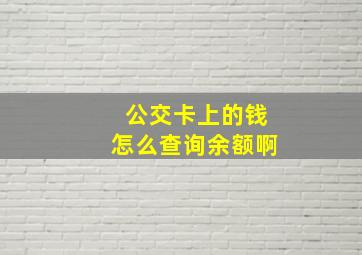 公交卡上的钱怎么查询余额啊