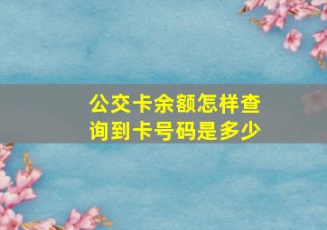 公交卡余额怎样查询到卡号码是多少