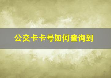 公交卡卡号如何查询到