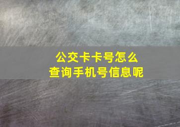 公交卡卡号怎么查询手机号信息呢