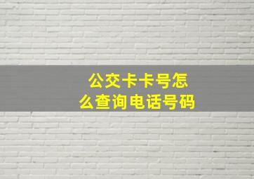 公交卡卡号怎么查询电话号码