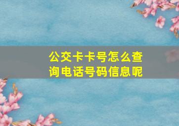 公交卡卡号怎么查询电话号码信息呢