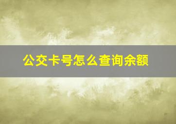 公交卡号怎么查询余额