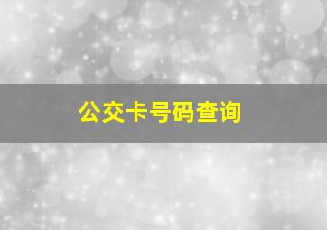 公交卡号码查询