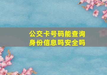 公交卡号码能查询身份信息吗安全吗