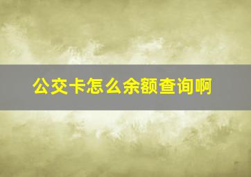 公交卡怎么余额查询啊