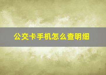 公交卡手机怎么查明细