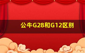 公牛G28和G12区别