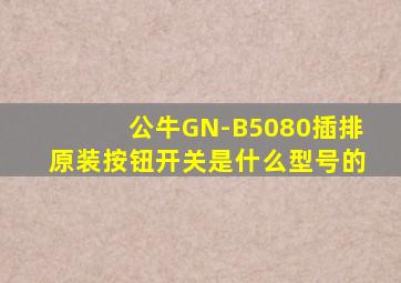 公牛GN-B5080插排原装按钮开关是什么型号的