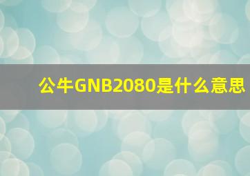 公牛GNB2080是什么意思