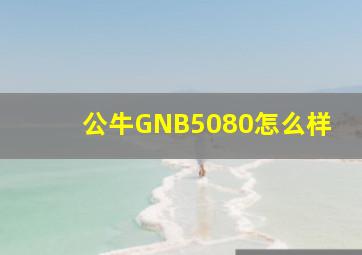 公牛GNB5080怎么样