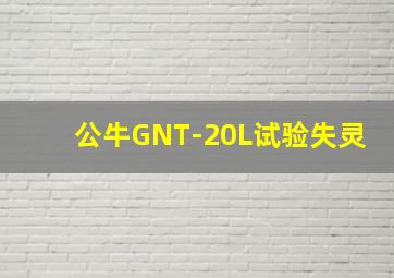 公牛GNT-20L试验失灵