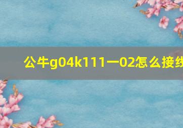 公牛g04k111一02怎么接线